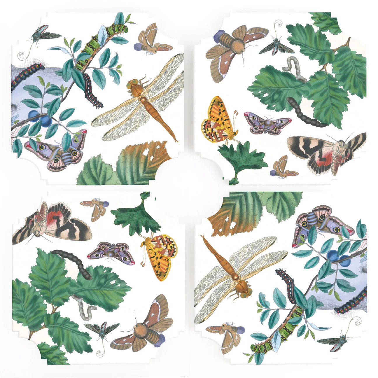 English Botanical and Moths Coasters