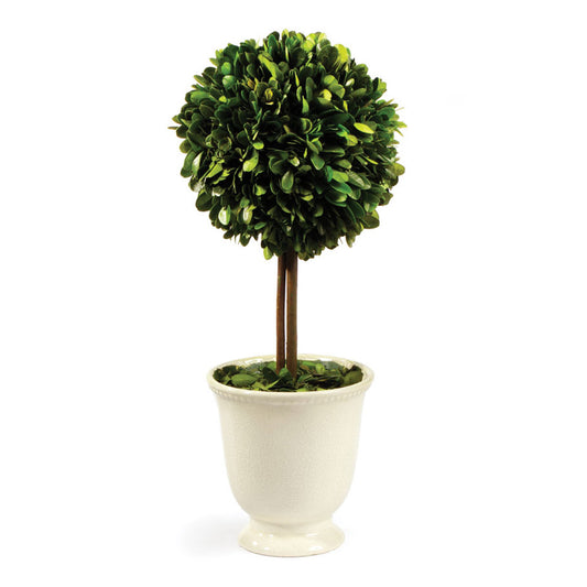 Boxwood Topiary In Beaded White Pot