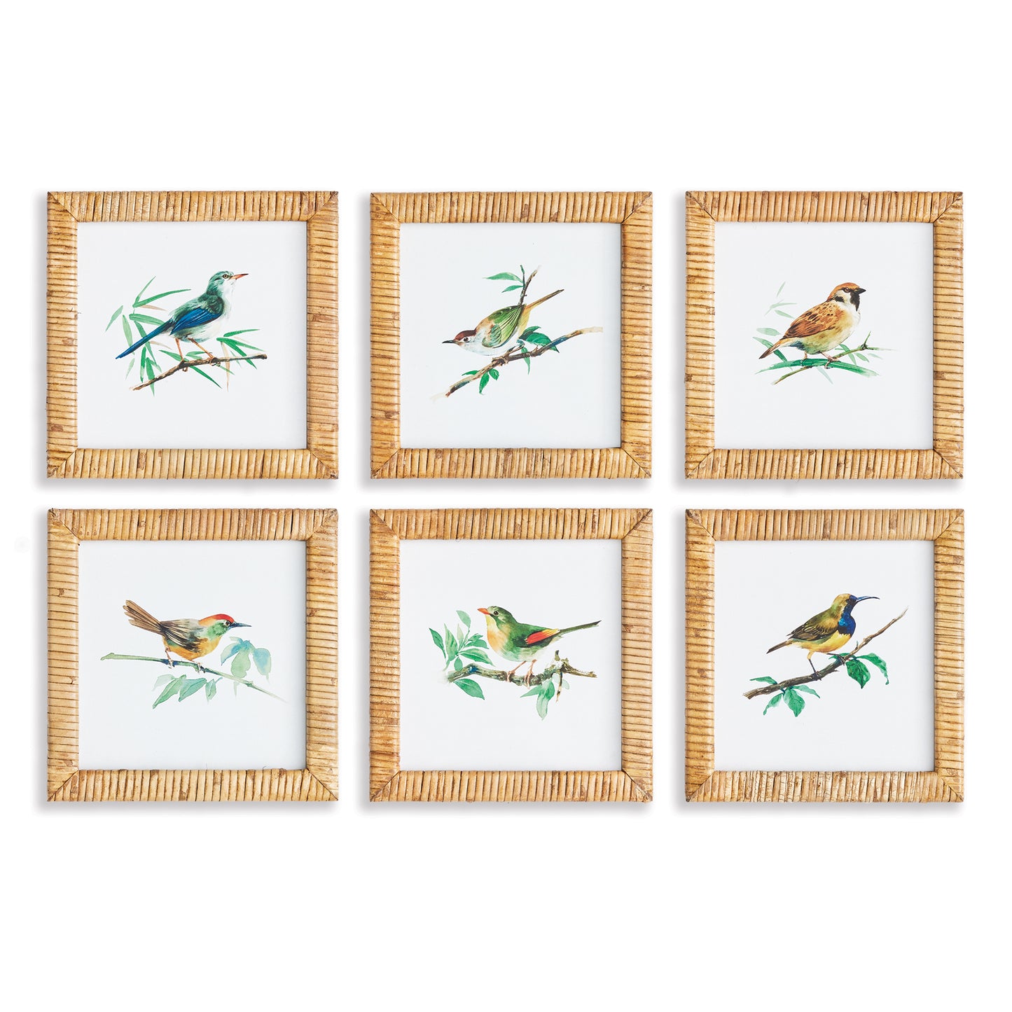 Songbird Petite Prints St/6