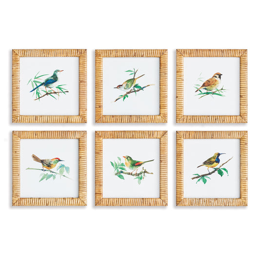 Songbird Petite Prints St/6