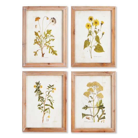 Golden Wildflower Study, Set Of 4