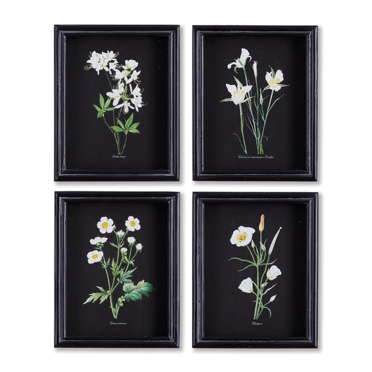 Perennial Petite Prints, Set Of 4