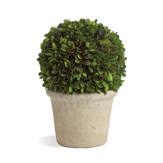 Boxwood 8" Ball In Pot