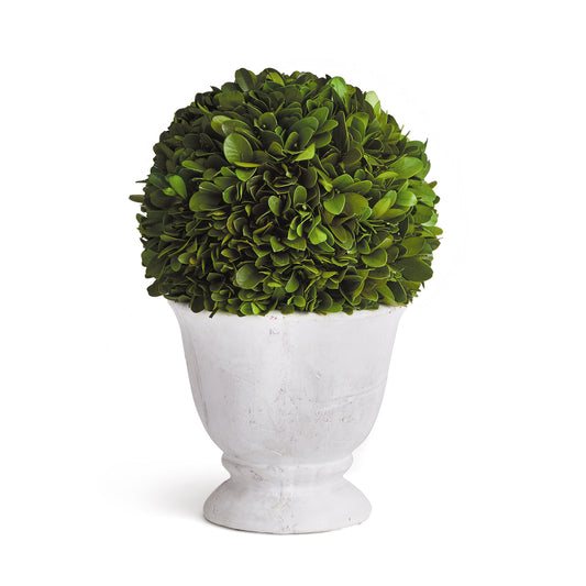 Boxwood Ball Topiary In Pot Small