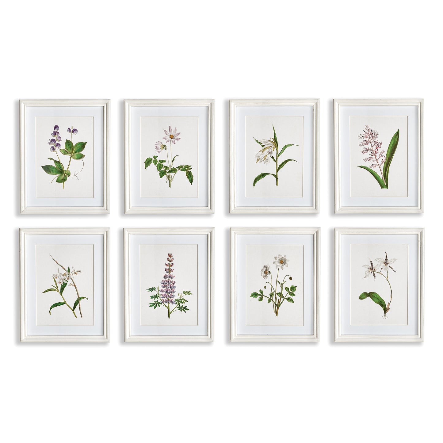 Flowers In Bloom Petite Prints, Set Of 8