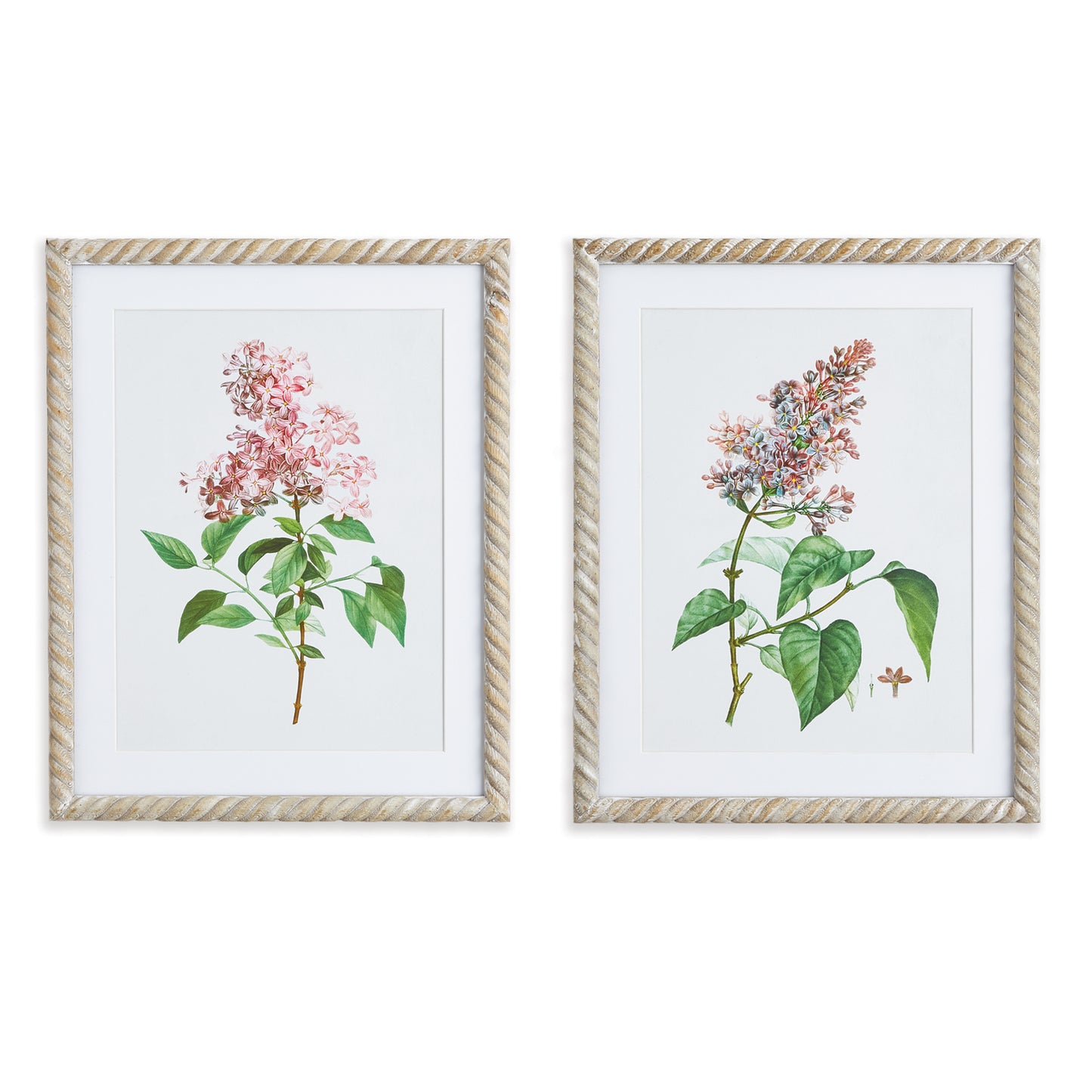 Lilac Cutting Prints, Set Of 2