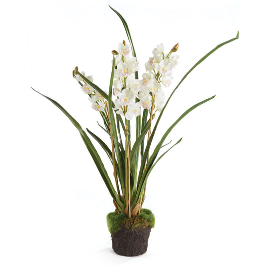 Cymbidium Orchid X3 Drop-In 36"