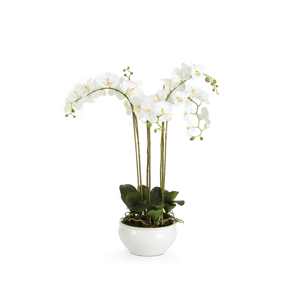 Barclay Butera Phalaenopsis In Ceramic Bowl 30"