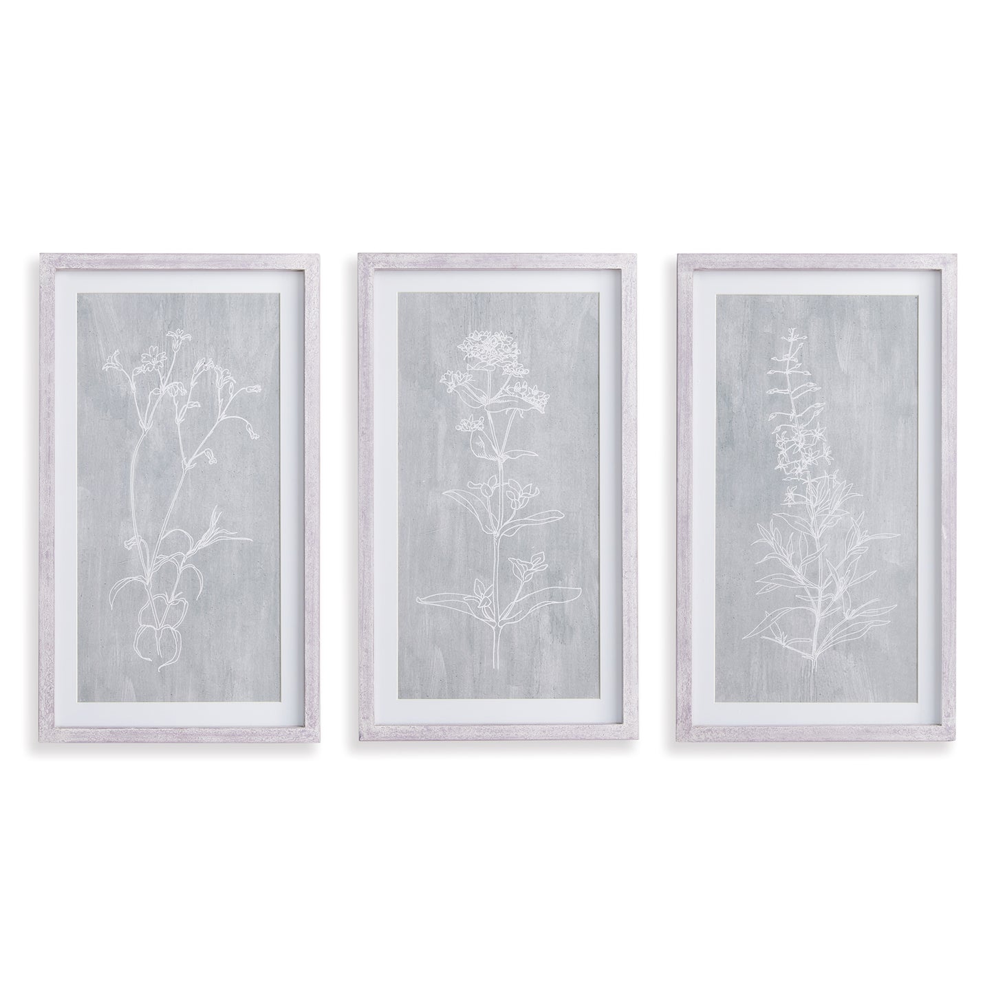 Sketched Botanical Prints, Set Of 3