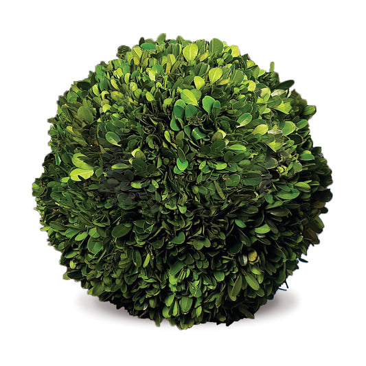 Boxwood Ball 12"