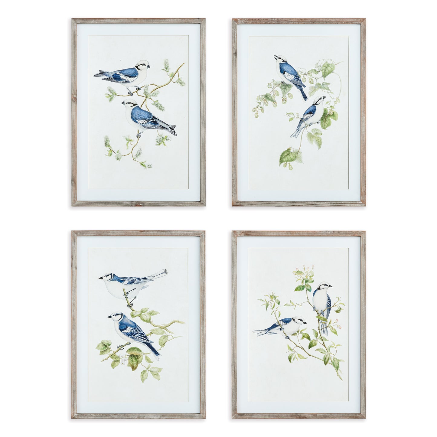 Blue Birds Prints, Set Of 4