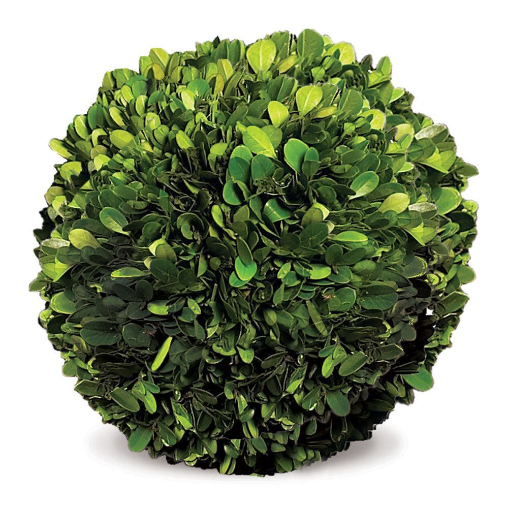 Boxwood Ball 8"