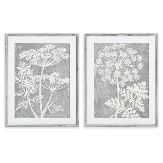 Blooming Queen Anne's Lace Prints, Set Of 2