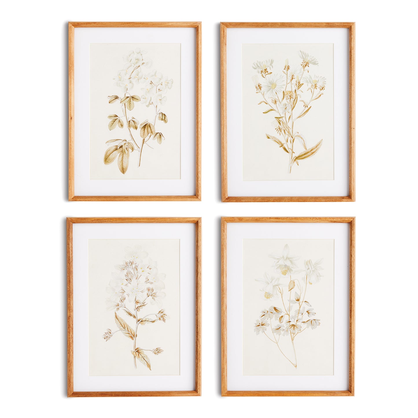 Fleur De Blanc Prints, Set Of 4