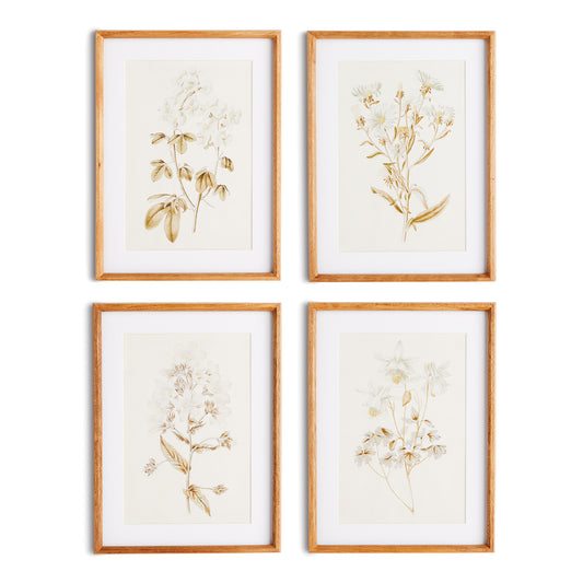 Fleur De Blanc Prints, Set Of 4