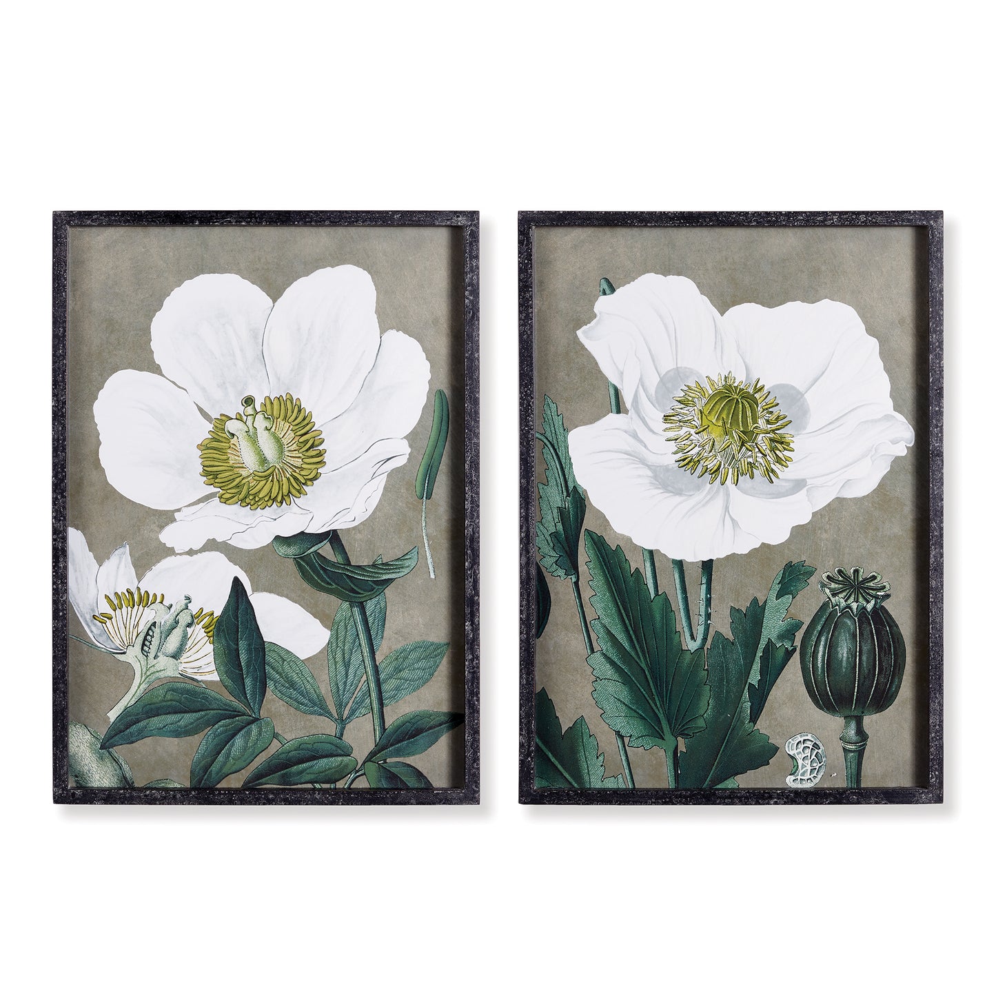 Poppy Prints, Set Of 2