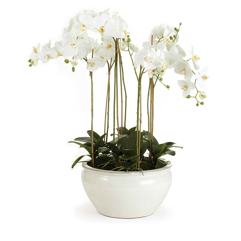 Barclay Butera Phalaenopsis In Ceramic Bowl 36"