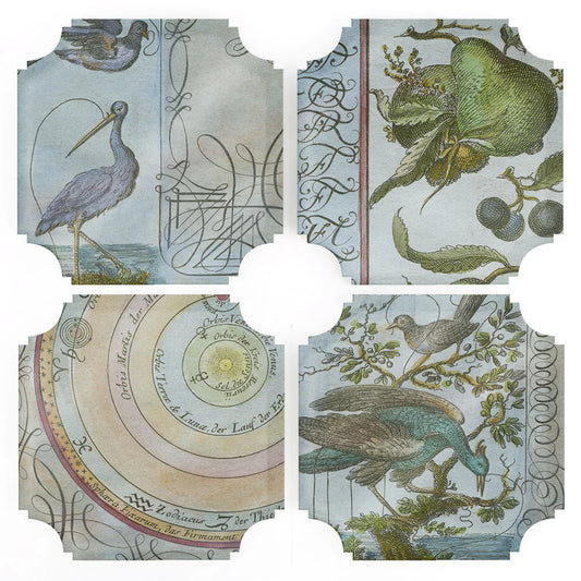 Birds Coasters