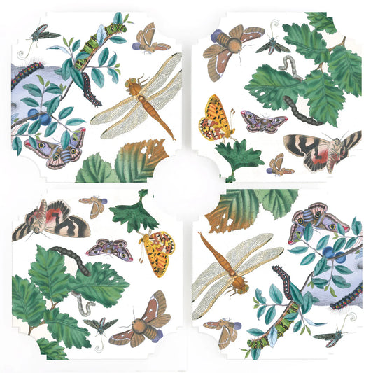 English Botanical and Moths Coasters