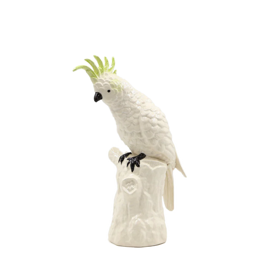 Cockatoo