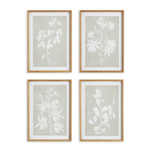 Foliage Study, Set Of 4