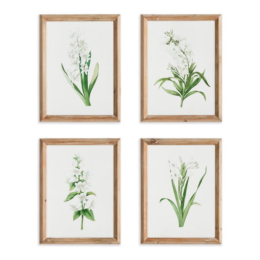 Garden Bloom Prints, Set Of 4