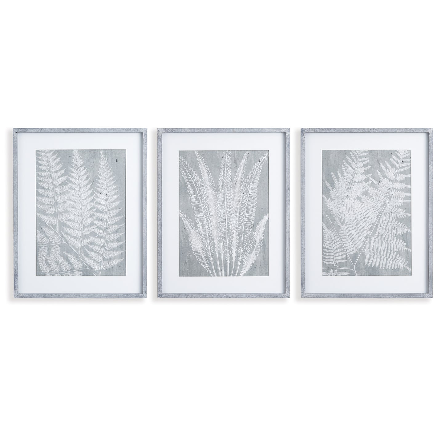 Fern Frond Prints, Set Of 3