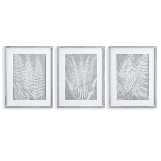 Fern Frond Prints, Set Of 3