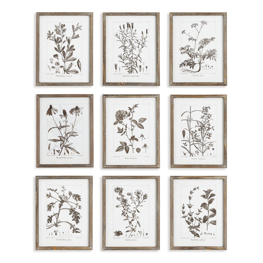 Rustic Foliage Study, Set Of 9