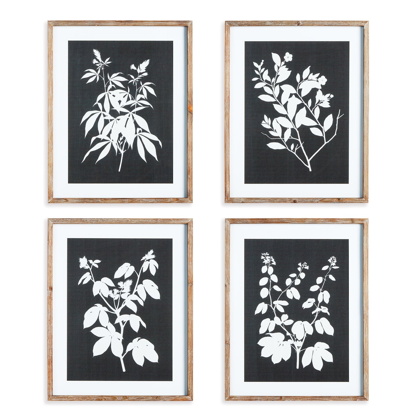 Monochrome Botanical Prints, Set Of 4