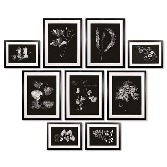 X-Ray Leaf Study Gallery, Set Of 9