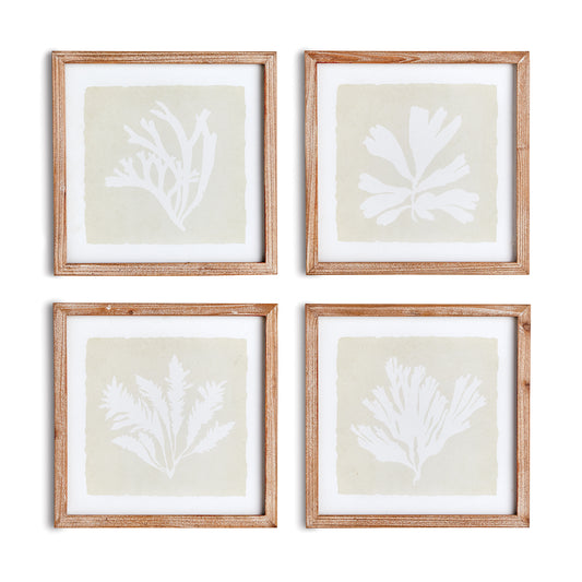 Seaweed Petite Prints, Set Of 4