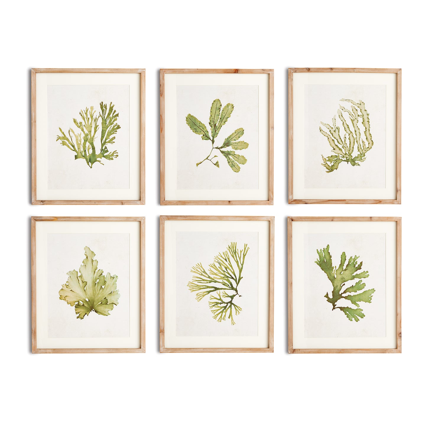 Kelp Prints, Set Of 6