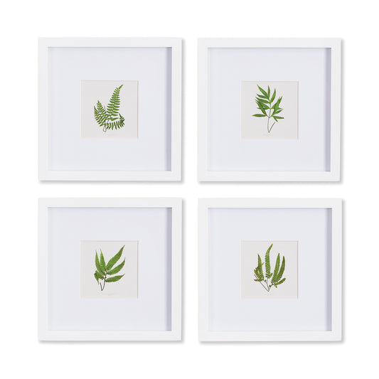 Forest Greenery Petite Prints, Set Of 4