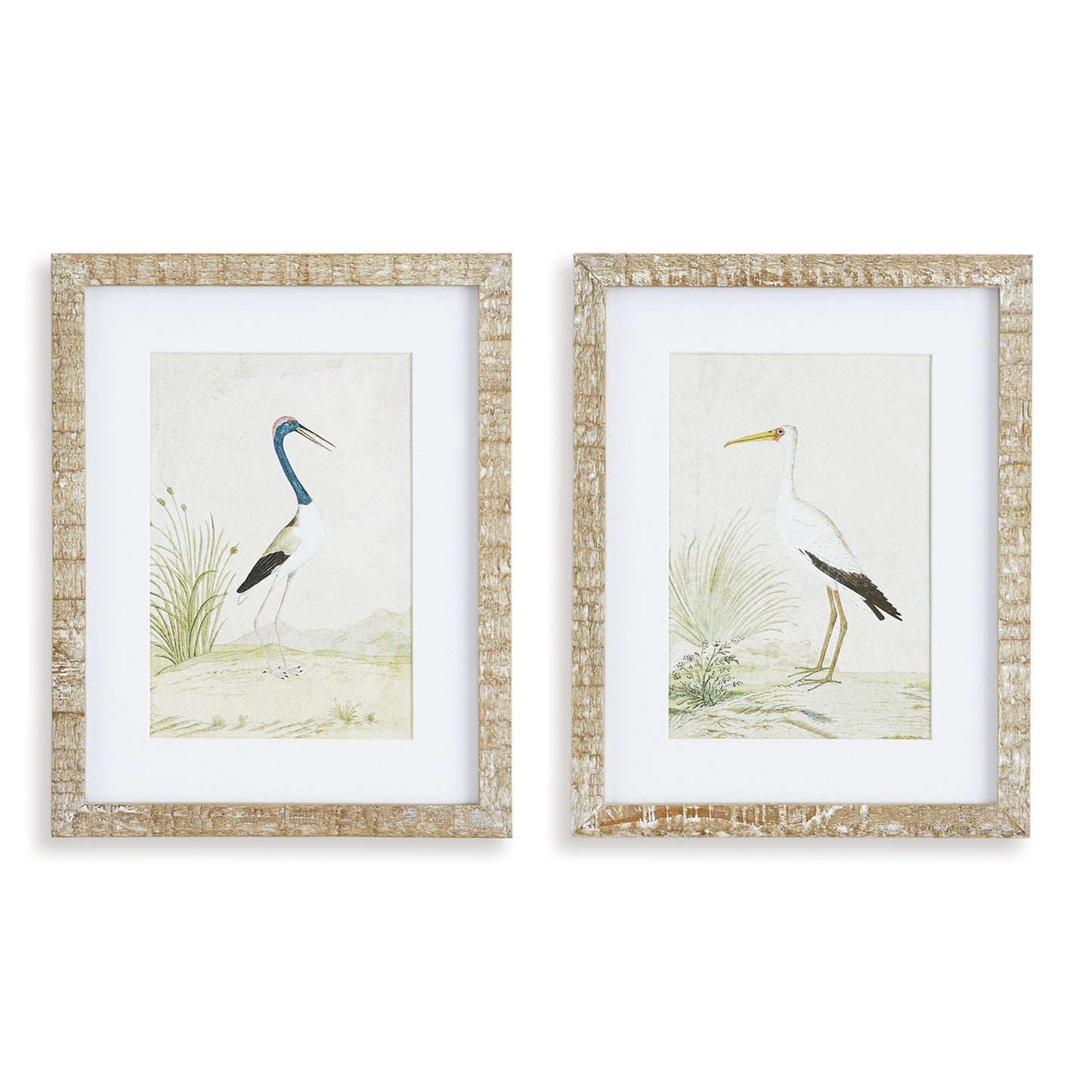 Wading Bird Prints, Set Of 2