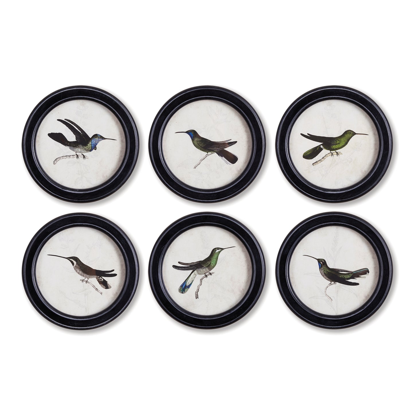 Hummingbird Round Petite Prints, Set Of 6