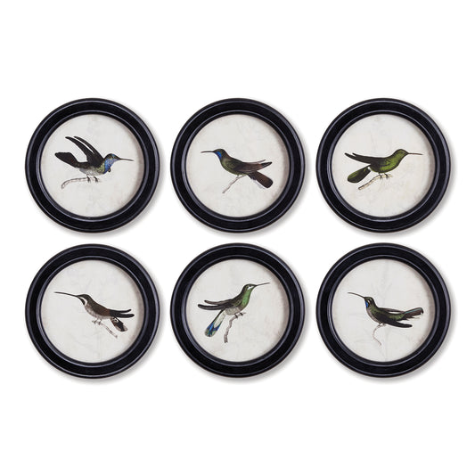 Hummingbird Round Petite Prints, Set Of 6